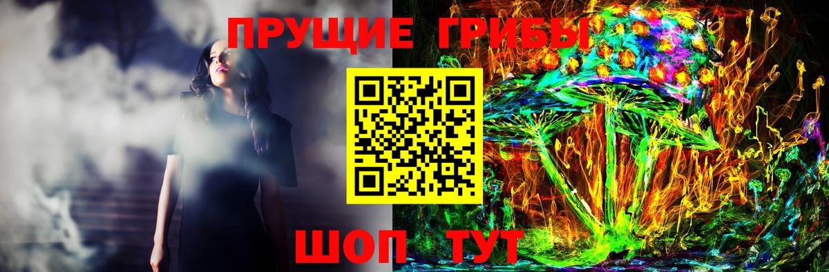 Галлюциногенные грибы Psilocybe  Галлюциногенные грибы мухоморы  Ахтубинск  Вход с VPN 